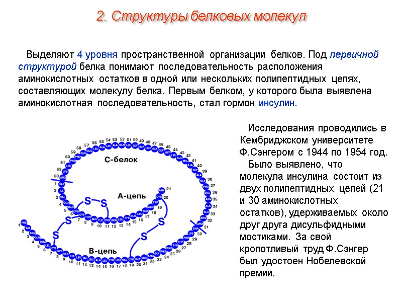 Выделяют 4 уровня пространственной организации белков. Под первичной структурой белка понимают последовательность расположения аминокислотных
